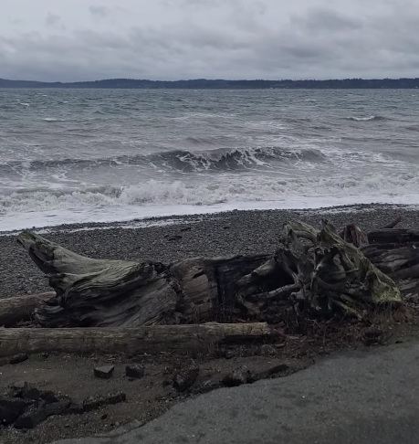 Are you prepared for the pineapple&nbsp;express?