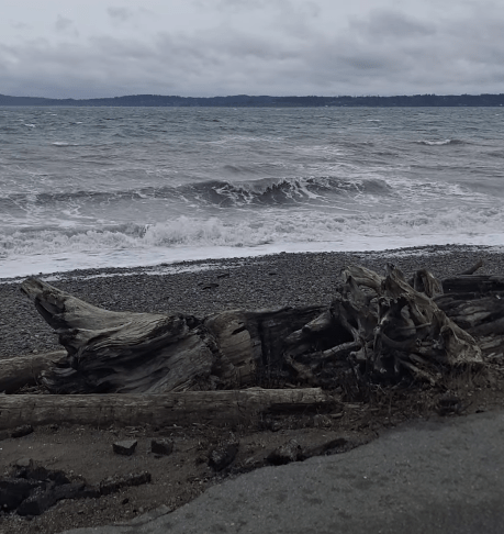 Are you prepared for the pineapple&nbsp;express?