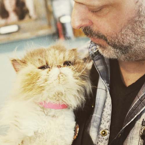 Beware of Bothell’s Alex the Cat&nbsp;Groomer