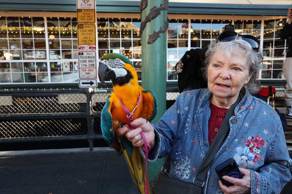 Meet Kai, Seattle’s protest-loving&nbsp;parrot