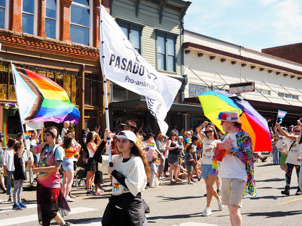 Anonymous text campaign seeks support to block permit for Snohomish Pride&nbsp;Parade