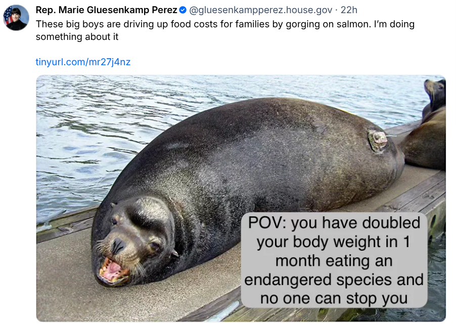 WA Rep. Marie Gluesenkamp Perez prepares to euthanize sea lions for “driving up food&nbsp;costs”