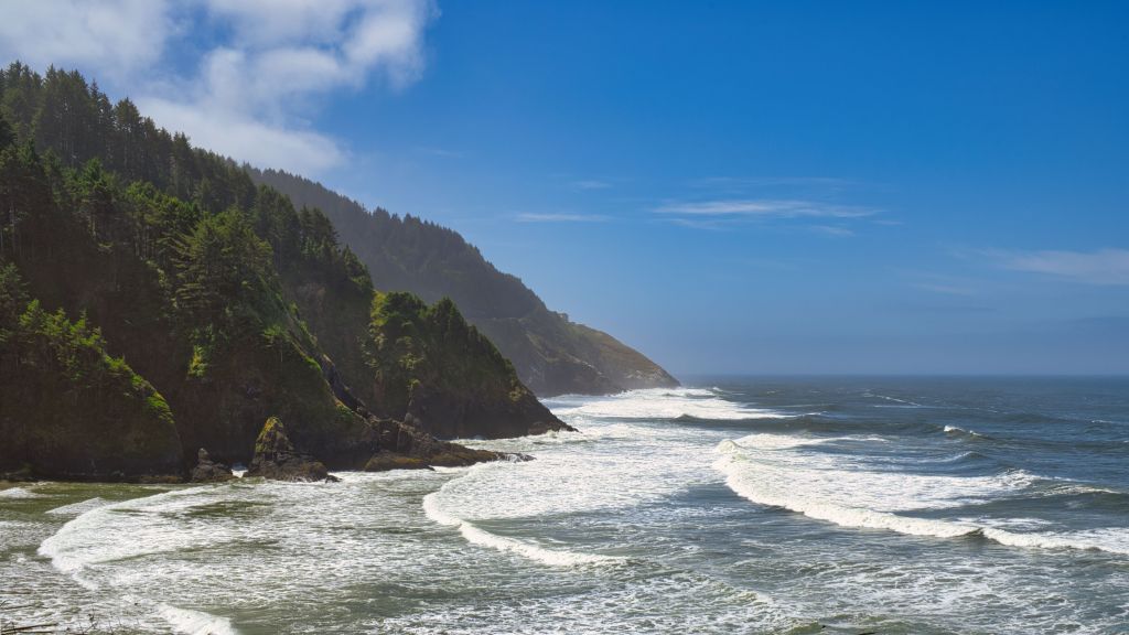 Resisting fascism: Cascadia Democratic Action to host conversation on Indigenous sovereignty, soft&nbsp;secession