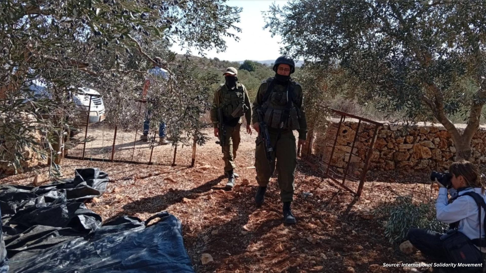 PNW resident recounts Israeli settler brutalization of Palestinian olive farmers in Jamma’in